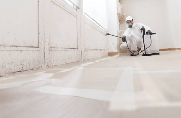24/7 Emergency Basement Mold Remediation experts in Churchton, MD